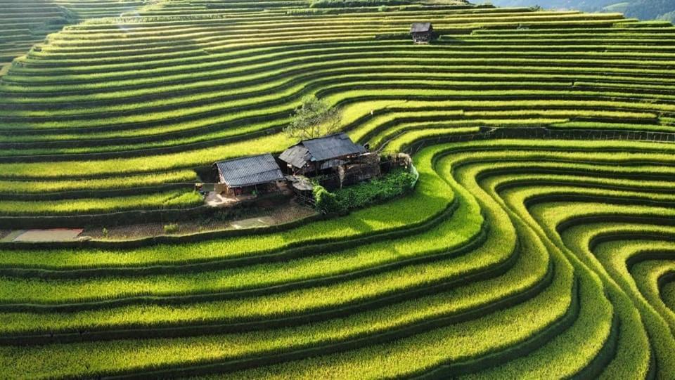 Homestay Hoa Thao - Bus ,Trek & Motorbike Mu Cang Chai Ngoại thất bức ảnh