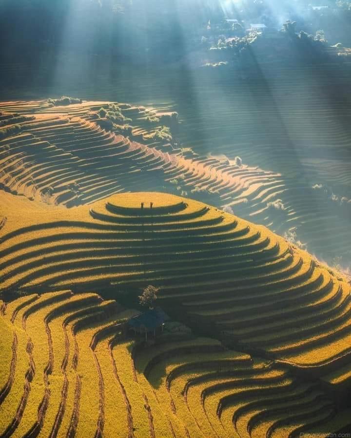 Homestay Hoa Thao - Bus ,Trek & Motorbike Mu Cang Chai Ngoại thất bức ảnh